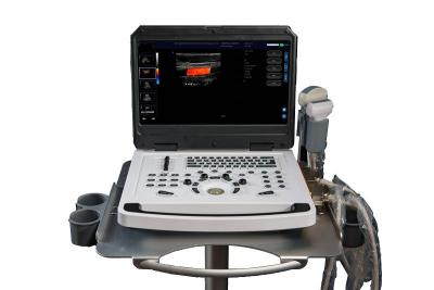 China CE Portable Color Doppler Ultrasound Machine Scanner OEM for sale