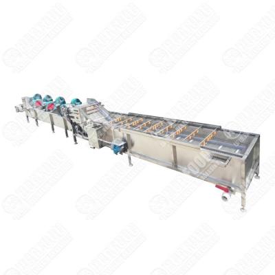 China Commercial Tomato Vegetable Fruit Washing Line Bean Sprout Washer And Drying Machine Blueberry Drying Cleaning Waxing Machine for sale