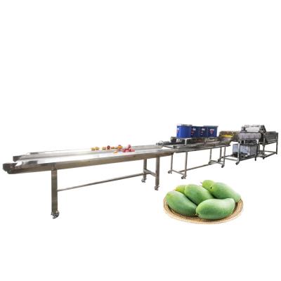 China Hot selling Palm Cleaner Machine Fruit Cleaning Machine Suppliers by Huafood for sale