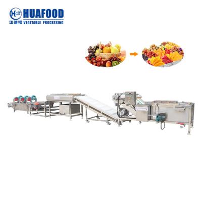 China Green Raisin Washing Drying Machinery Fruit Juicing Production Line Peeled Garlic for sale
