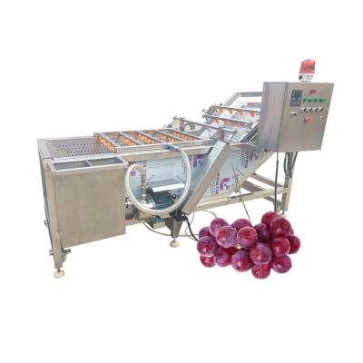 China Hot Sale Food Tech Process Grain Washing Machine Indian for sale