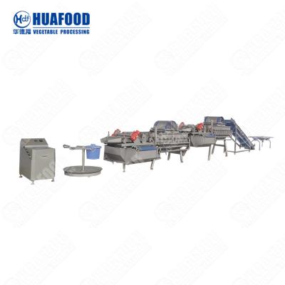 China New Design Processing Line Vegetable And Salad Chopper Machine With Great Price for sale