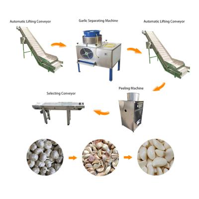 China fully automatic garlic peeling machine garlic peeler processing production line for sale