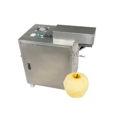China Industrial Fruit mango pulp processing peeling machine Pineapple apple juice extractor machine Passion fruit pulping machine for sale