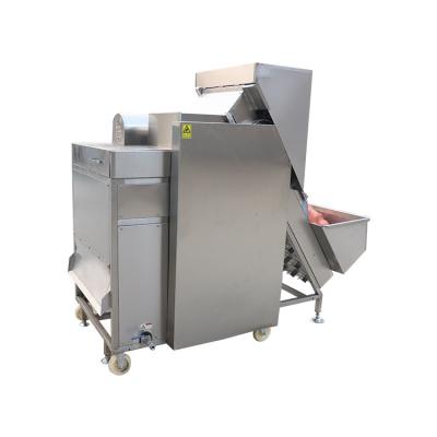 China Electric Food Grade Peeler Machine Onions Suppliers for sale