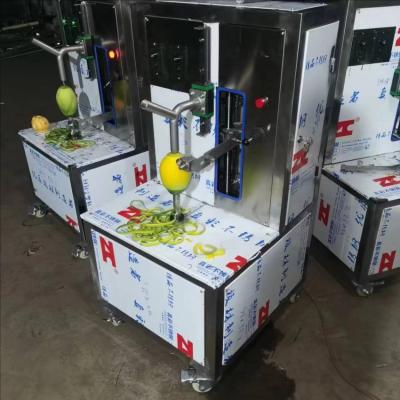 China High Quality Steek Fruit Peeling Juicer Machine Spinner Coffee Fruit Peeling Machine With High Quality for sale