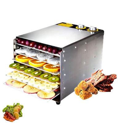 China food dryer machine/ sultana/raisin mesh belt dryer for sale