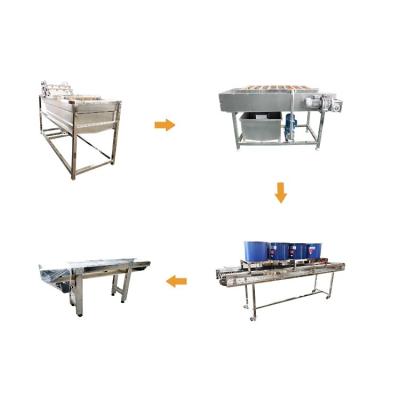 China Full Automatic Vegetable Processing Equipment Fruit Processing Line for sale