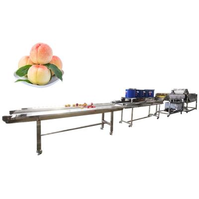 China Industrial Fruit And Vegetable Cleaning Machine Air Drying Production Line for sale