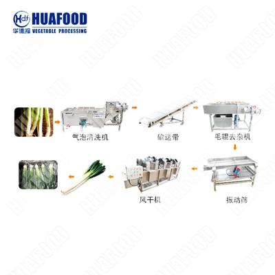 China Leafy Vegetable Washing And Drying Machine For Spinach Lettuce Cabbage for sale