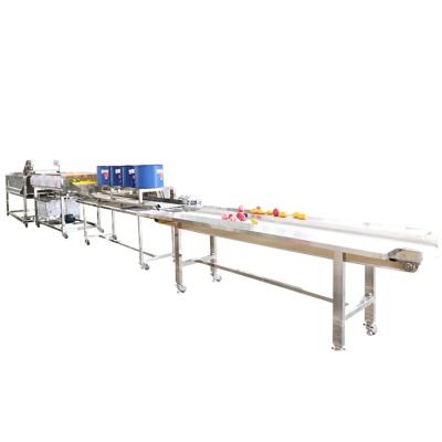 China Industrial Fruit Vegetable Washing And Drying Machine Washer And Dryer Line for sale