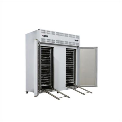 China Long Service Life 10Ft Blast Freezer Stainless Steel Fridge Blast Freezer For Chicken With CE Certificate for sale