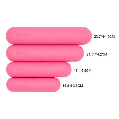 China Free Weight Gym Equipment Silicone Rubber Dumbbells Set for Strength Training for sale