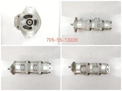 Cina 705-55-13020 PESO di KOMATSU Crane Gear Pump LW100 SAL25+6+22: 14.352kgs in vendita