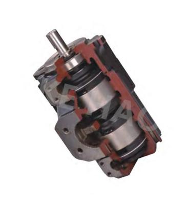 China T6、T67、T7 Series Double Vane Pump , Cartridge Stainless Steel Gear Pump for sale