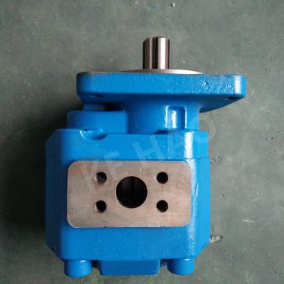 Chine Pompe de pompes hydrauliques de vitesse hydraulique d'OEM/à engrenages de fonte haute précision à vendre