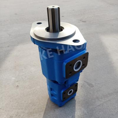 China High Pressure Loader Gear Pump Iron Aluminum Stainless Steel Material for sale