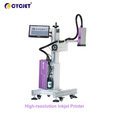 China Large Format High Resolution Inkjet Printer Carton Label Printing Machine for sale