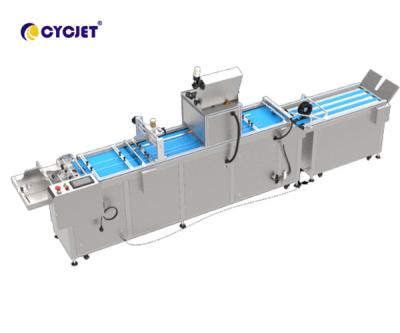 China CYCJET CVI 450-VD Automated Visual Inspection Machine For Coding Machine for sale