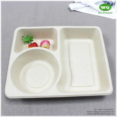 China 3-Compartments Unbleached Biodegradable  Sugarcane Pulp Tray With Lid,Renewable Resources Biodegradable Food Containers for sale