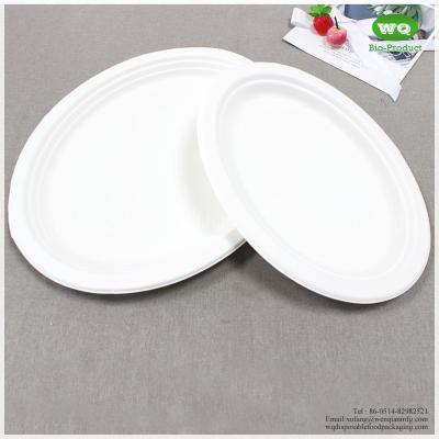 China Biodegradable 10/12 Inch Oval Platters Made From Natural Sugarcane Pulp- Bamboo Dinner Plate Melamine Dinner Plate for sale