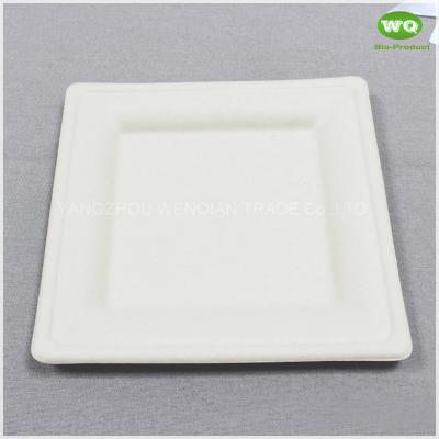 China China Facotry Wholesale Sugarcane Pulp Square Plate-6 Inch/8inch/10inch,100% Biodegradable Disposable Square Party Plate for sale