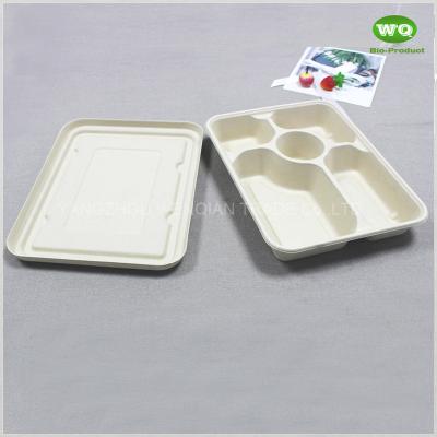 China 5-Coms Biodegradable Rectangle Tray With Lid-Convenient Easy green Bagasse Sugarcane Fiber Takeaway Packaging Contaienrs for sale