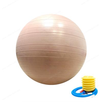 China 55cm 65cm 75cm PVC Custom Exercise Gym Yoga Ball With Air Pump for sale