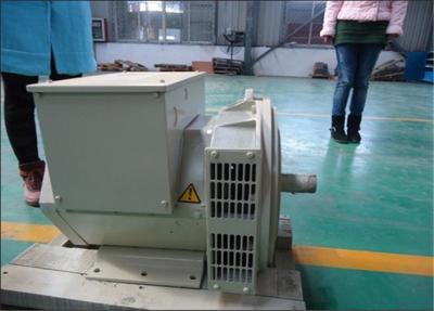 China 80kw 80kva Effeciency Single Phase AC Generator Self Excited Alternator for sale