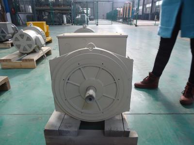 China 110V | synchroner schwanzloser doppelter Generator des Lager-690V 40kw/50kva zu verkaufen