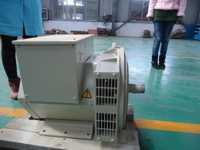 China Selbsterregter doppelter Lager-Generator-schwanzloser Generator 200kw/250kva zu verkaufen