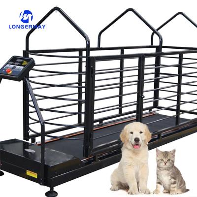 China Treadmill Dog Treadmill Pet Pet Treadmill Indoor Exercise Pet Te koop