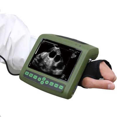 China Mini Dog Pregnancy Scan Machine Physiotherapy Portable Ultrasound for sale