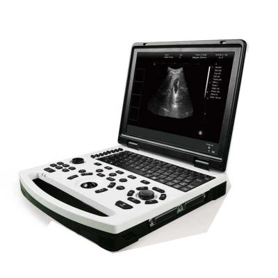 China Automatic High Effective Portable Ultrasound  With 12.1 inch HD LED LCD screen For human and Animal for sale