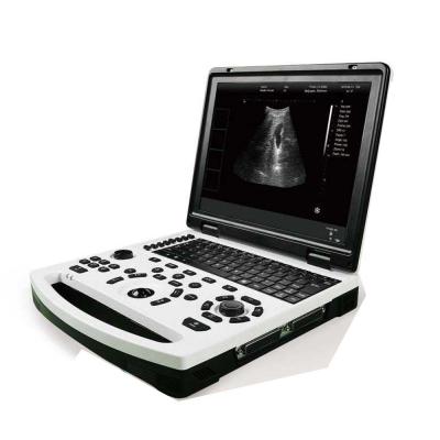 China B&W Veterinary Portable Ultrasound Scanner Wireless Ultrasound Scanner for sale