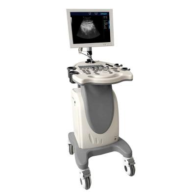 China Automatic Ultrasound Scanner Machine Identification Function  65cm Width en venta