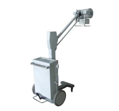 中国 Electric Portable X Ray Equipment Veterinary Digital Radiography Systems 100mA 販売のため