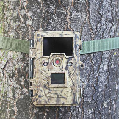 Κίνα Κάμερα άγριας φύσης κυνηγιού ψηφιακή, υπέρυθρη κάμερα κυνηγιού εκείνη η παγίδα καμερών προς πώληση