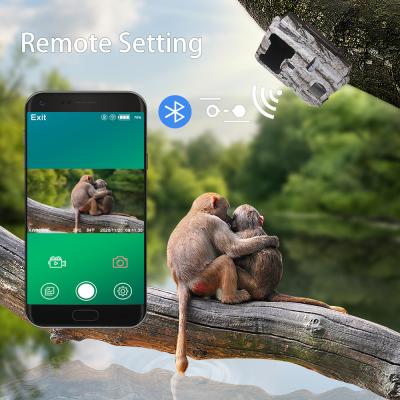 China KW865 WIFI Hidden Camera For Outdoor Wireless Hunting Camera Trail Camera That Sends Pictures To Your Phone for sale