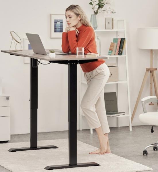 Quality 2 Stages Dual Motor Electric Height Adjustable Standing Desk for Healthier for sale