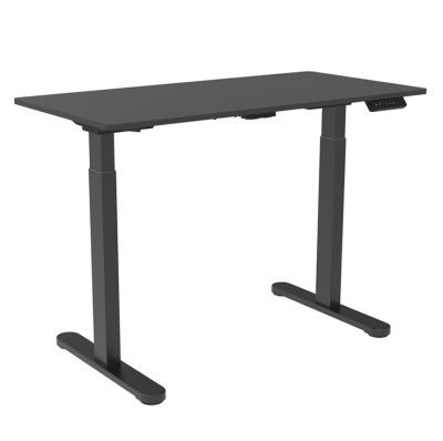 China Traditional Standing Single Motor Standing Desk For Office Furniture for sale