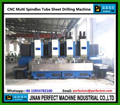 China Multi Spindles CNC High Speed Drilling Machine for Tube Sheet (Model PHD5050-4) for sale