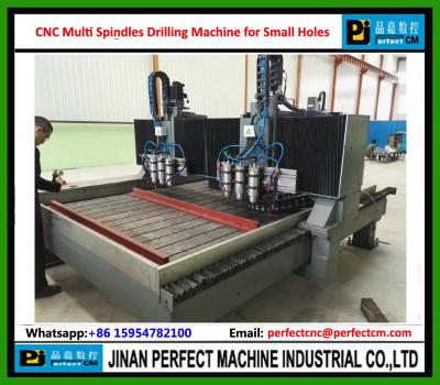 China CNC Multi Spindles Drilling Machine for Step Holes, Taper Holes, Milling Groove Sieve holes, Vibration Sieve for sale
