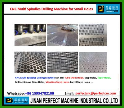 China CNC Multi Spindles Drilling Machine for Plate,Flange,Tube Sheet for sale