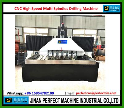 China CNC High Speed Multi Spindles Drilling Machine for Step Holes, Taper Holes, Milling Groove Sieve holes, Vibration Sieve en venta