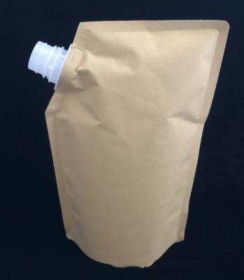 Cina Biodegradable Foil Custom Printed Stand Up Pouches Waterproof Liquid Kraft Paper Spout Pouch in vendita