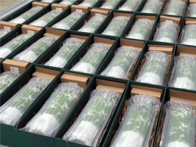 China Luftpolster-Verpackentaschen-Schock-Beweis, aufblasbare Verpackungs-Luftsack-unterschiedliche Größe zu verkaufen