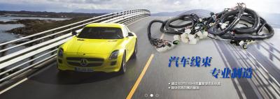 China Cablagens específicas do mercado de acessórios do veículo personalizadas para a câmera do carro à venda