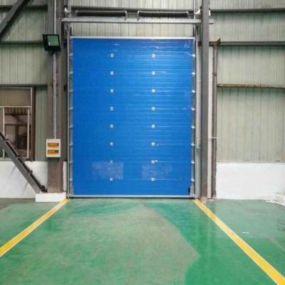 China Manual Operate Overhead Sectional Door Thickness 40mm 50mm With Chain Hoist for sale