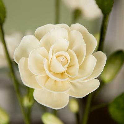 China Rose Reed Diffuser Flower à venda